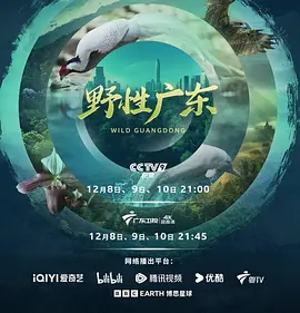 野性广东
