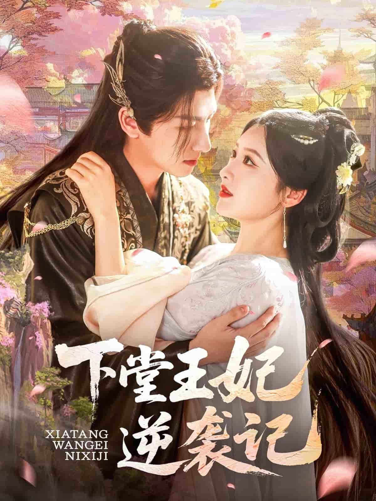 下堂王妃逆袭记